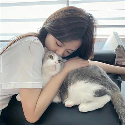 屏风美人